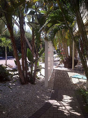 Coquina On The Beach Lido Key  Экстерьер фото