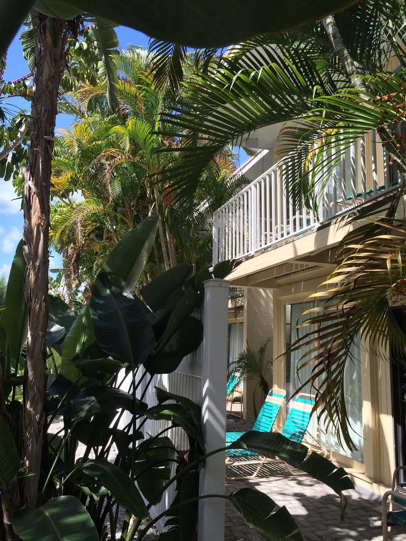 Coquina On The Beach Lido Key  Экстерьер фото